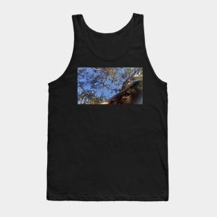 Tree perspective Tank Top